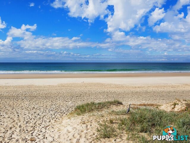 12A Teemangum Street TUGUN QLD 4224