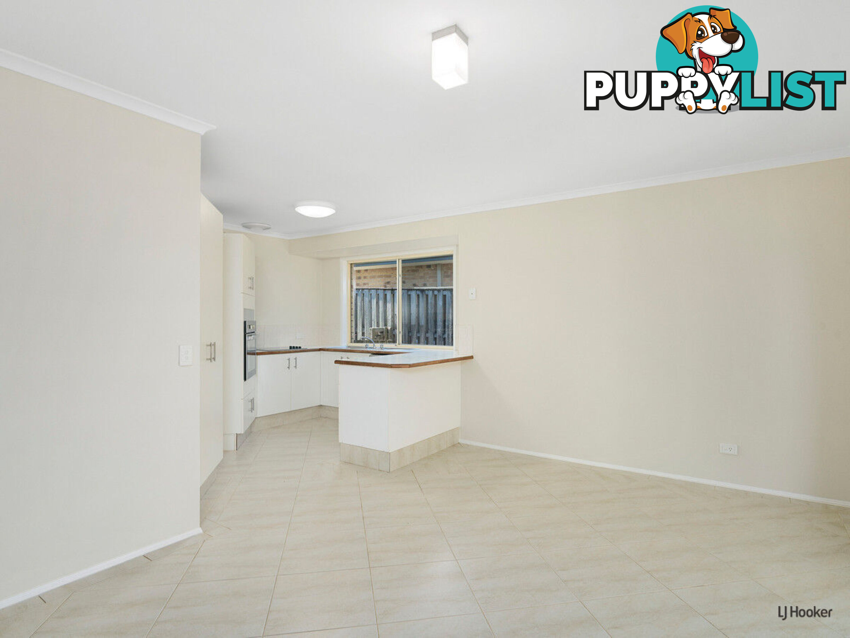 16 Daphne Court ELANORA QLD 4221