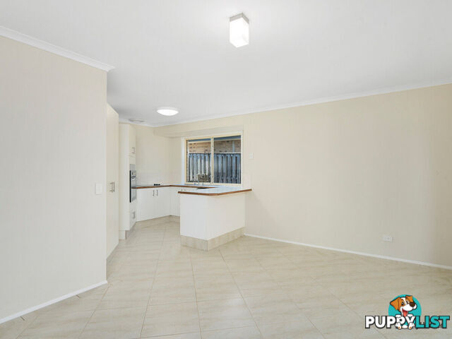 16 Daphne Court ELANORA QLD 4221