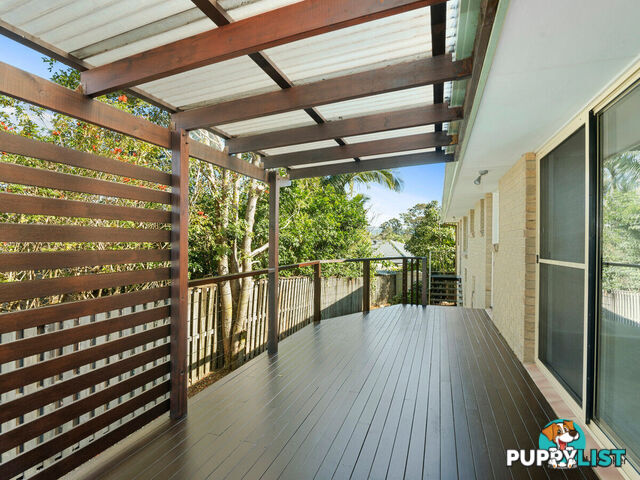 16 Daphne Court ELANORA QLD 4221