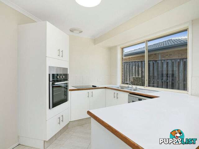 16 Daphne Court ELANORA QLD 4221