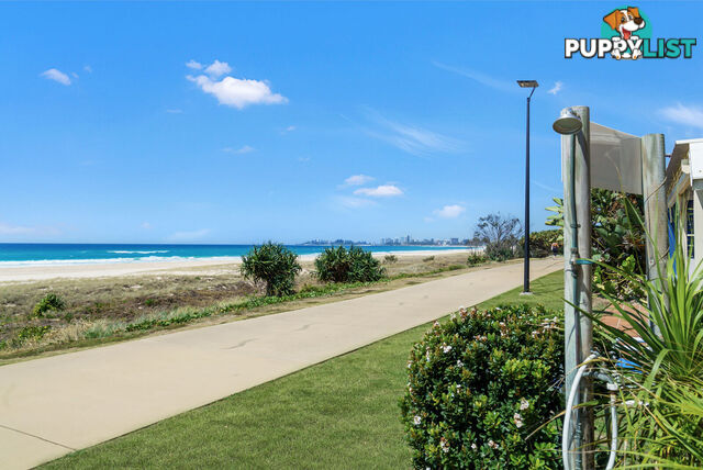 201/335-337 Golden Four Drive TUGUN QLD 4224