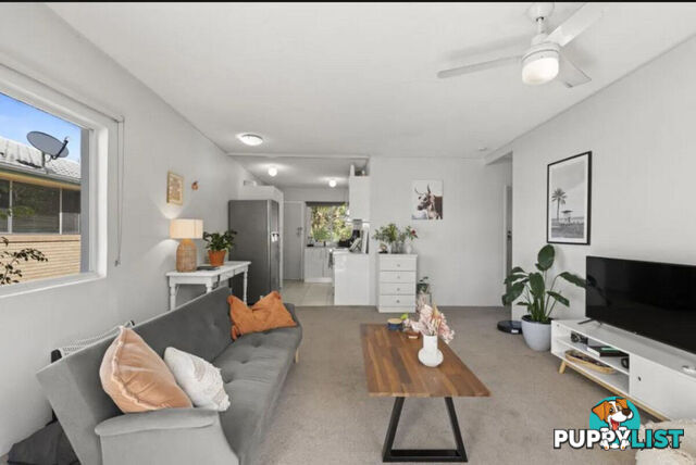 3/12 Murlong Crescent PALM BEACH QLD 4221