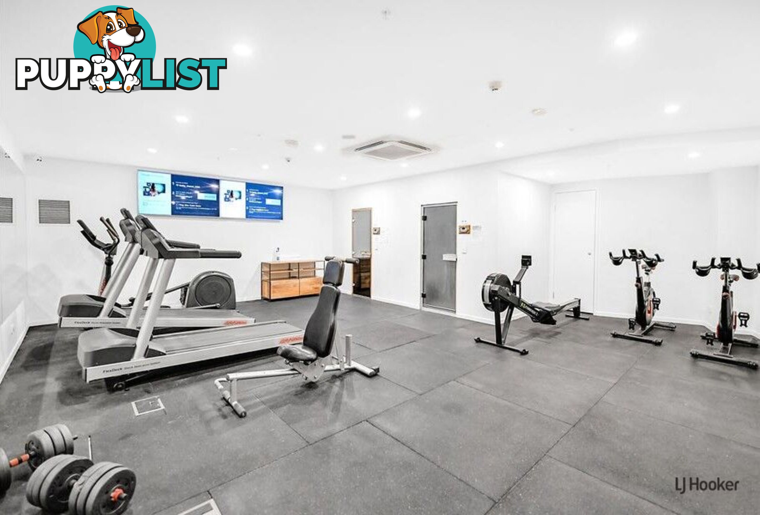 303/9 Norfolk Avenue SURFERS PARADISE QLD 4217