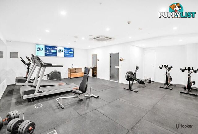 303/9 Norfolk Avenue SURFERS PARADISE QLD 4217