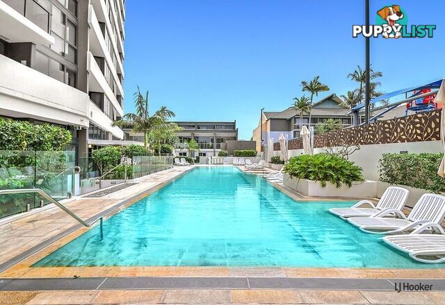 303/9 Norfolk Avenue SURFERS PARADISE QLD 4217