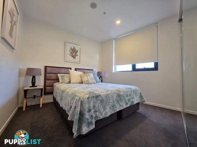 303/9 Norfolk Avenue SURFERS PARADISE QLD 4217