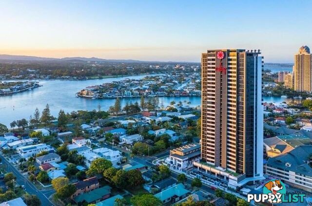303/9 Norfolk Avenue SURFERS PARADISE QLD 4217