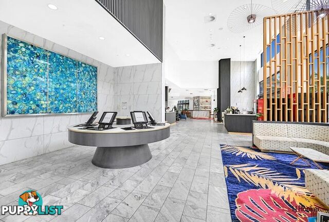 303/9 Norfolk Avenue SURFERS PARADISE QLD 4217