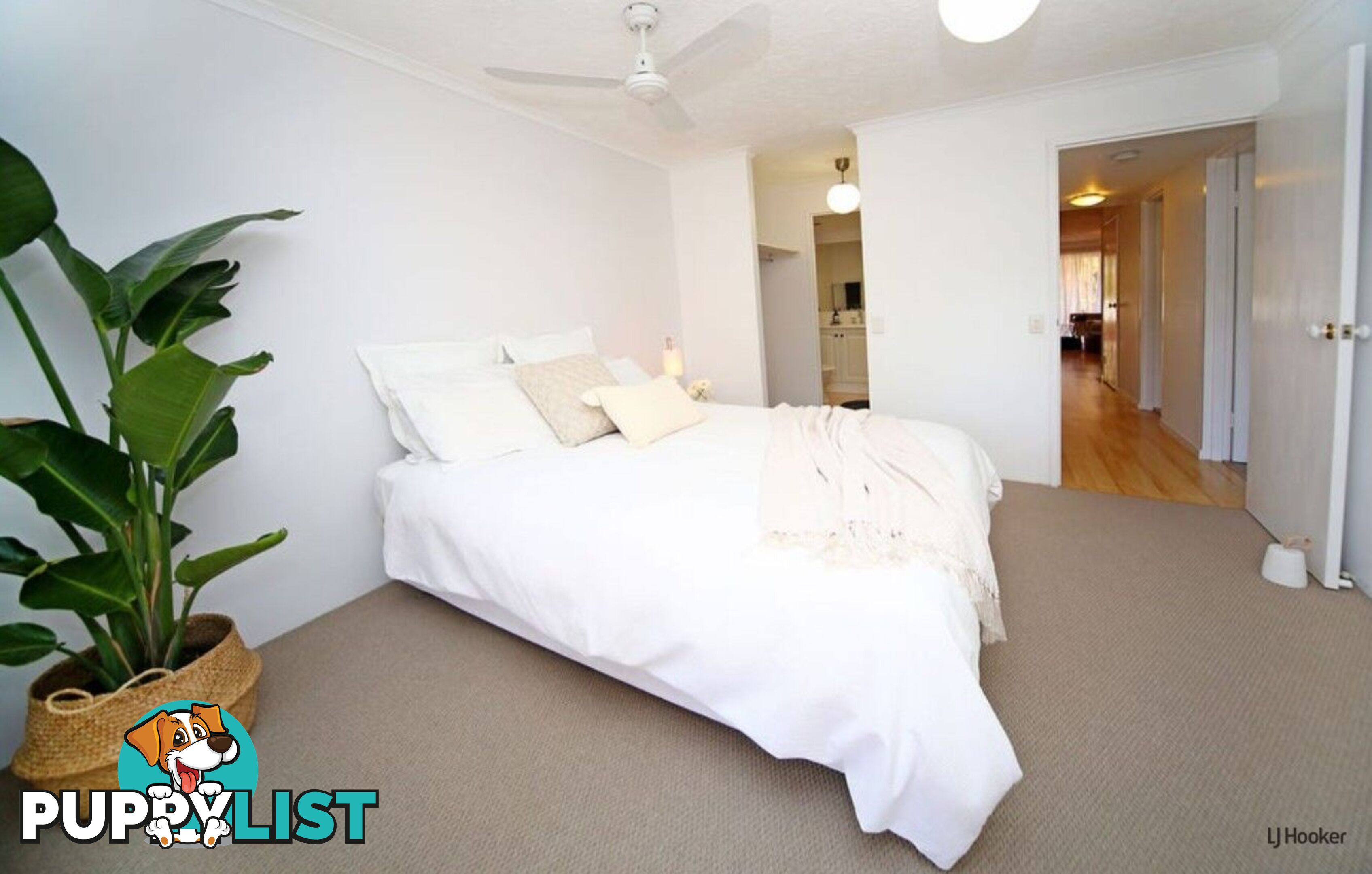 5/560 Gold Coast Highway TUGUN QLD 4224