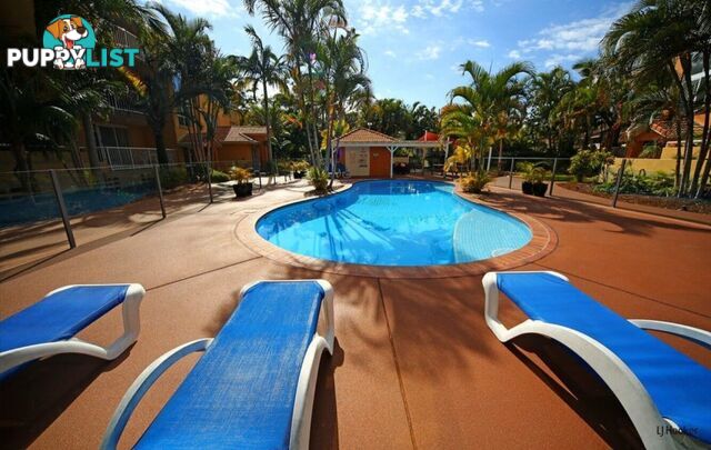 5/560 Gold Coast Highway TUGUN QLD 4224