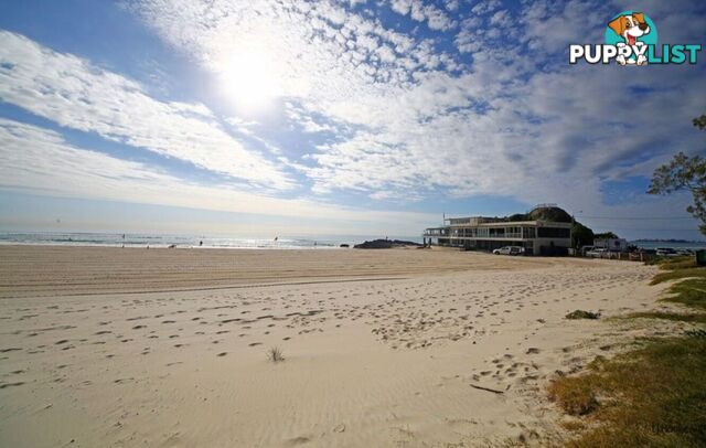 5/560 Gold Coast Highway TUGUN QLD 4224