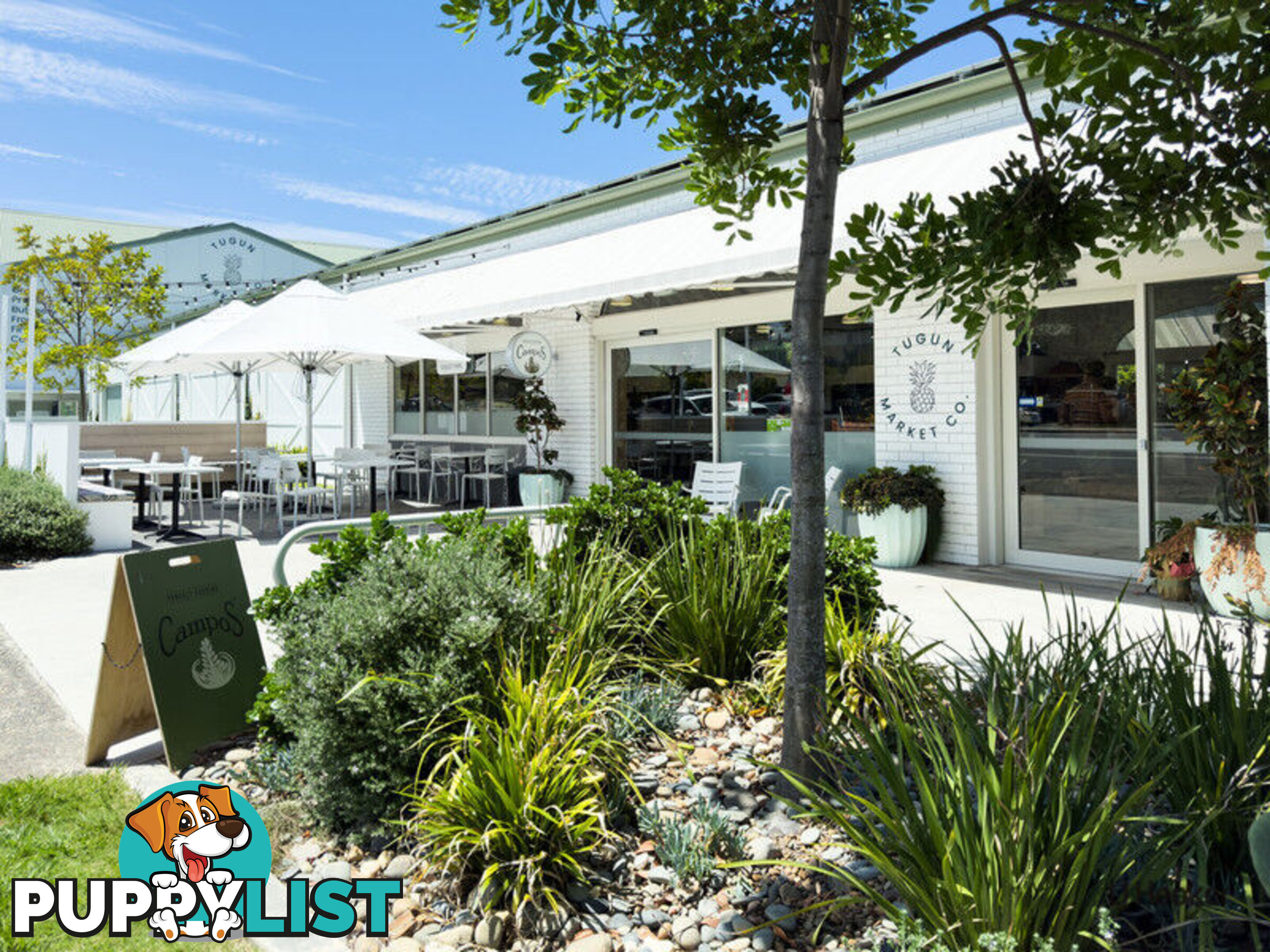 5/560 Gold Coast Highway TUGUN QLD 4224