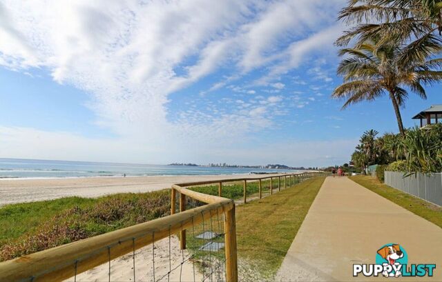 5/560 Gold Coast Highway TUGUN QLD 4224