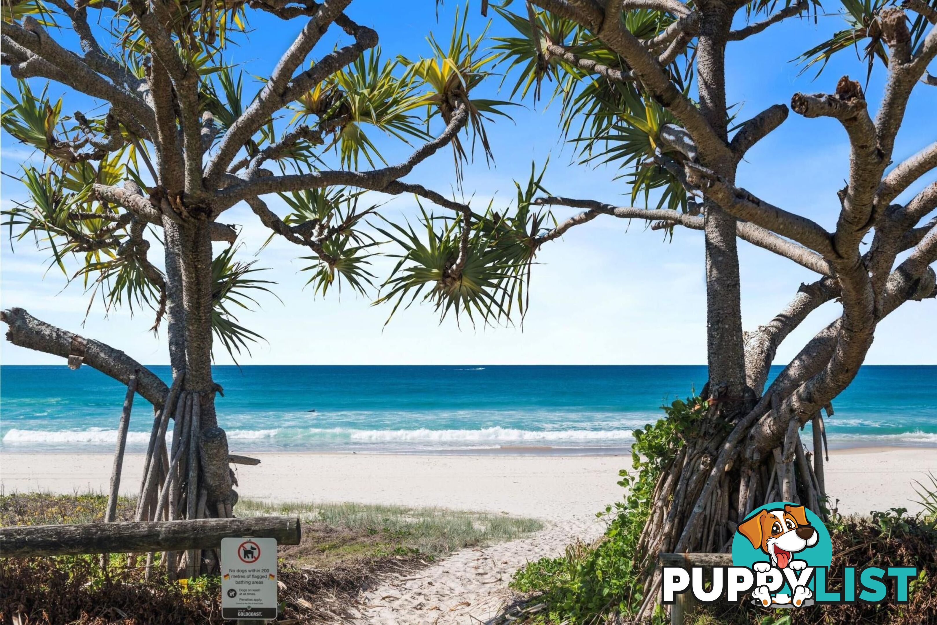 5/560 Gold Coast Highway TUGUN QLD 4224