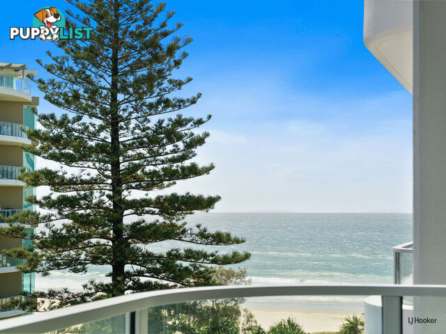 504/4 Twenty First Avenue PALM BEACH QLD 4221