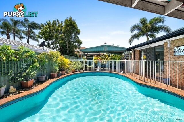 33 Spindle Street PALM BEACH QLD 4221