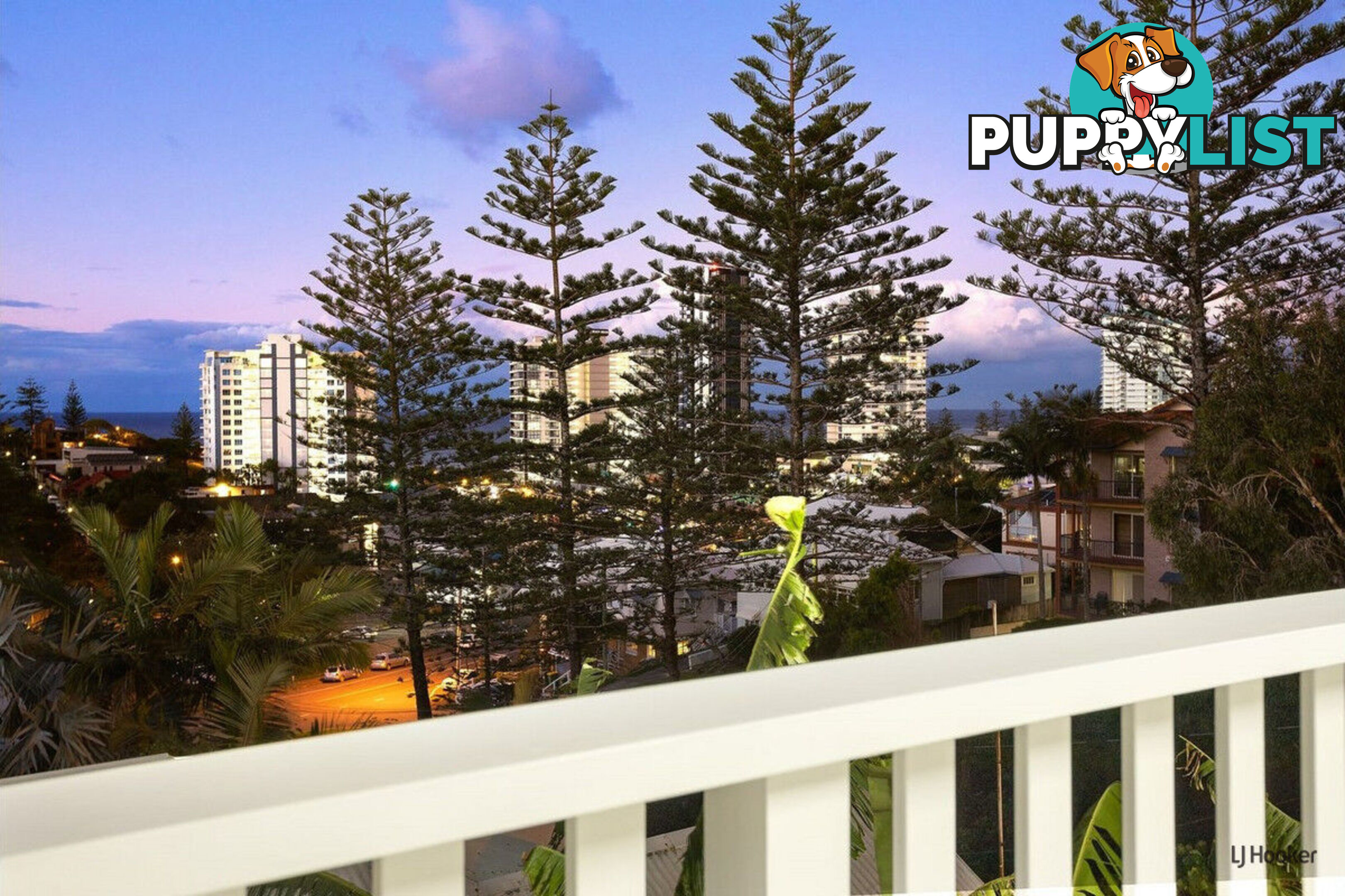 49 Garrick Street COOLANGATTA QLD 4225