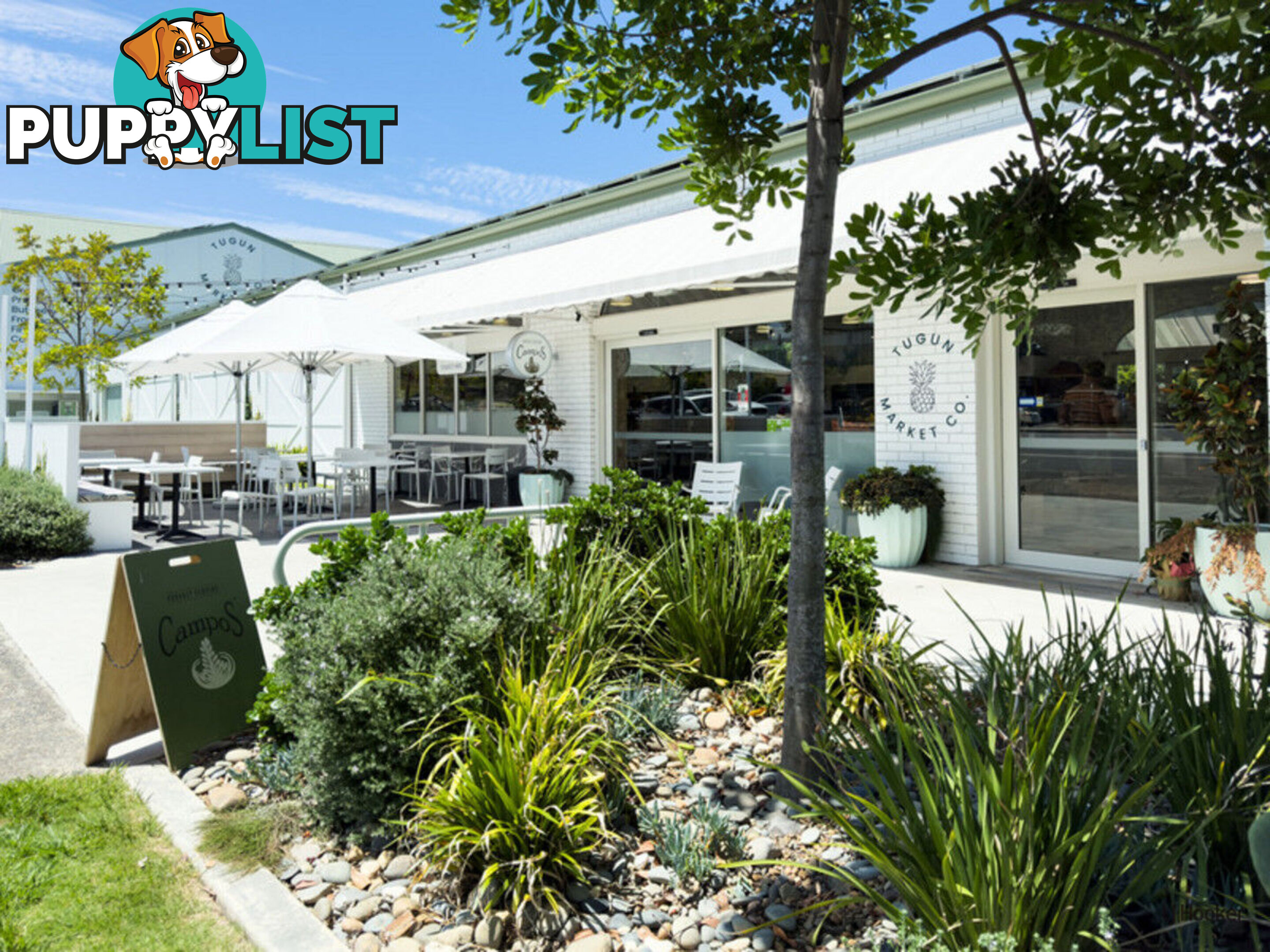 13 Alkira Street TUGUN QLD 4224