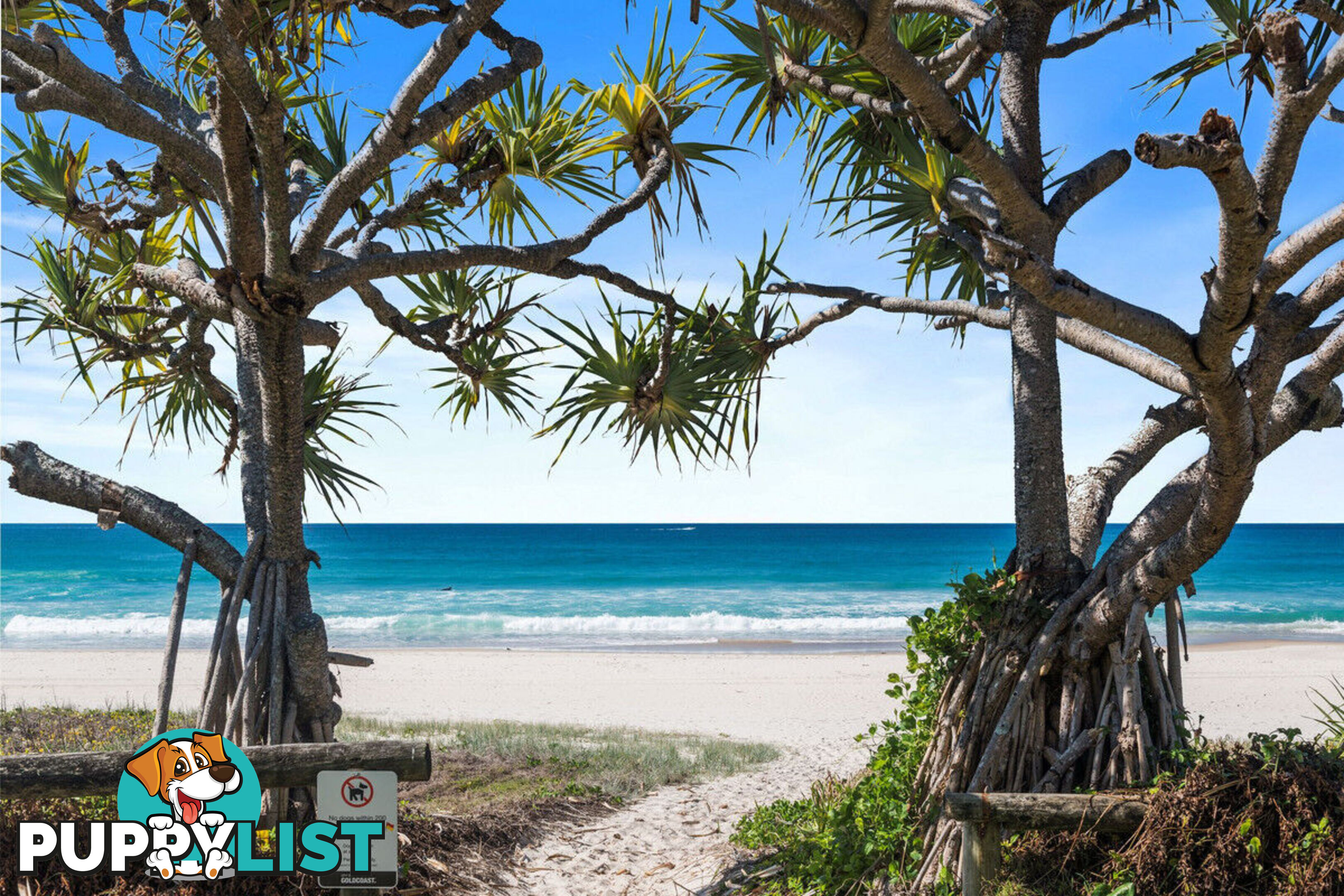 13 Alkira Street TUGUN QLD 4224