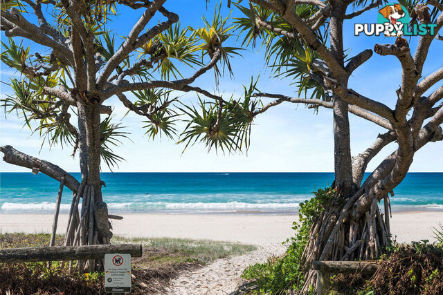 13 Alkira Street TUGUN QLD 4224