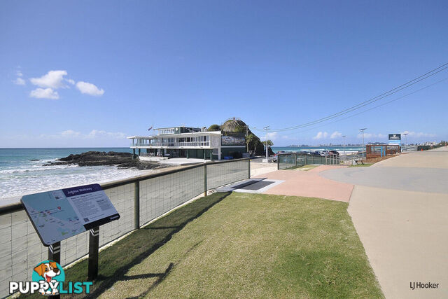 42/38-42 Duringan Street CURRUMBIN QLD 4223