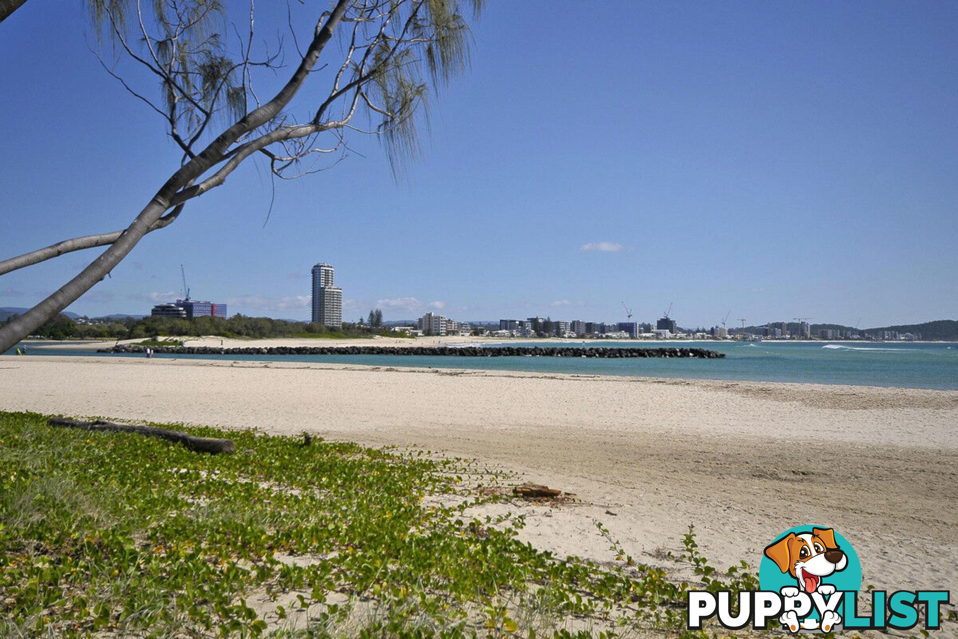 42/38-42 Duringan Street CURRUMBIN QLD 4223