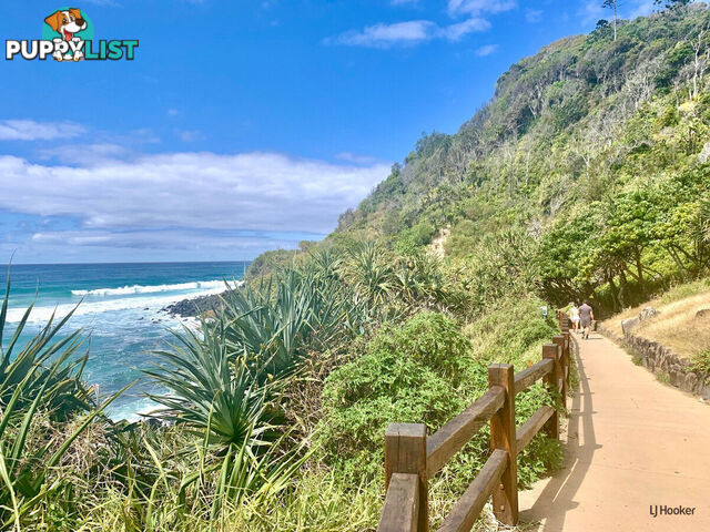 1/61 Tallebudgera Drive PALM BEACH QLD 4221