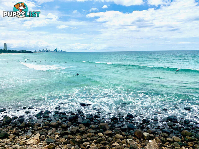 1/61 Tallebudgera Drive PALM BEACH QLD 4221