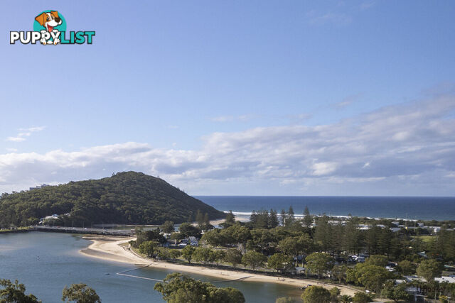 1/61 Tallebudgera Drive PALM BEACH QLD 4221