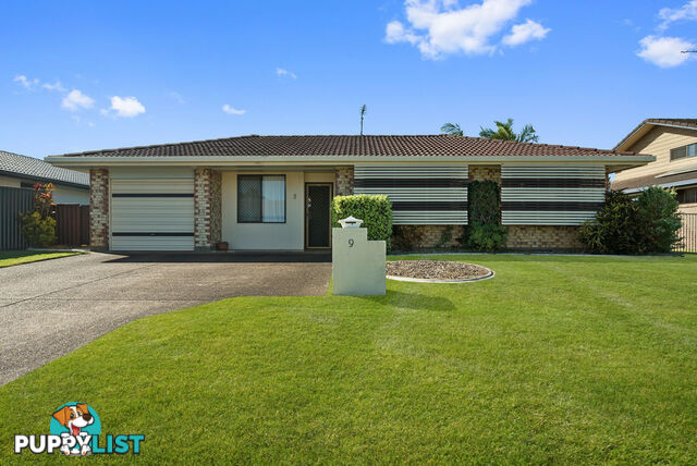 9 Kurrajong Court PALM BEACH QLD 4221