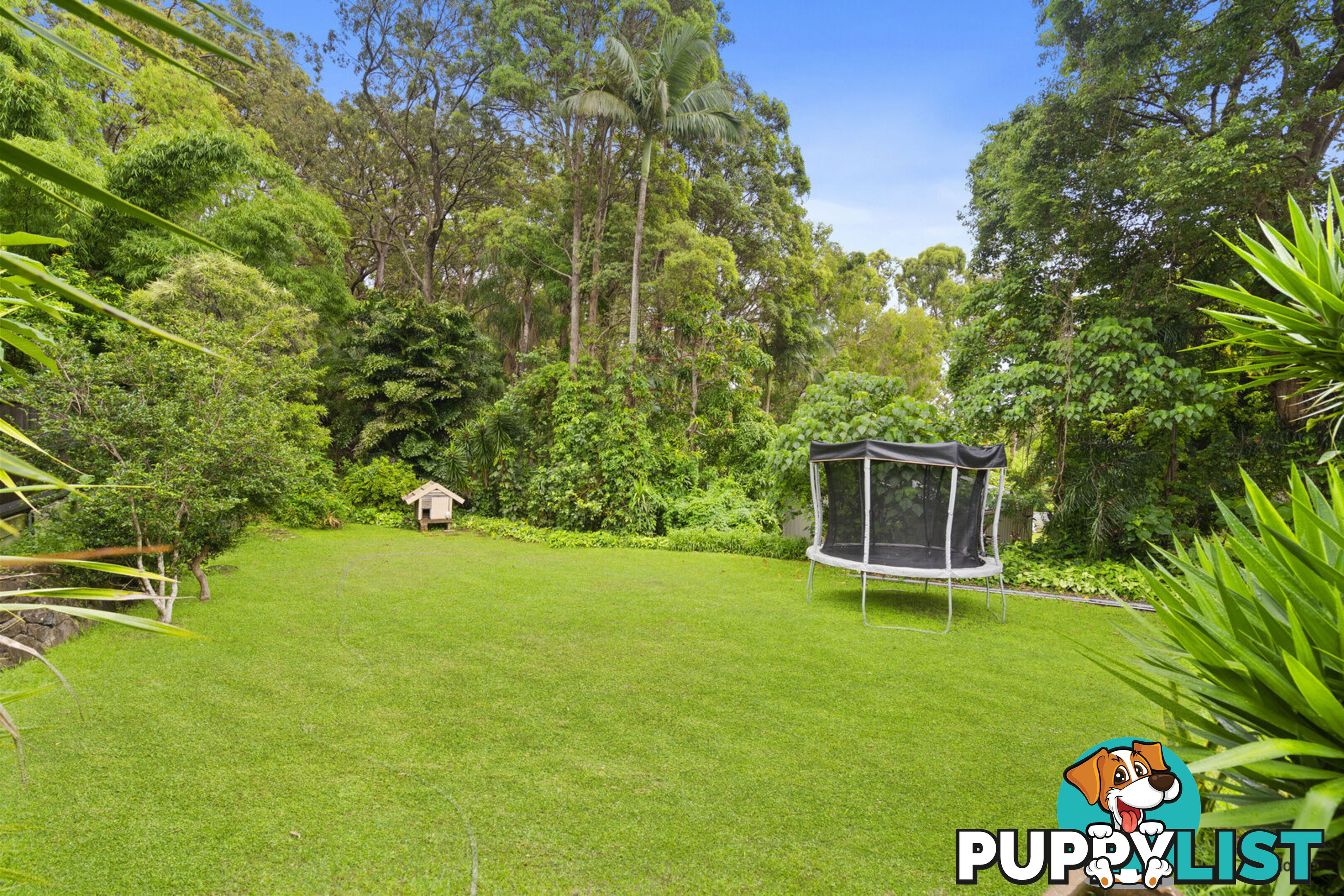 187 Simpsons Road ELANORA QLD 4221