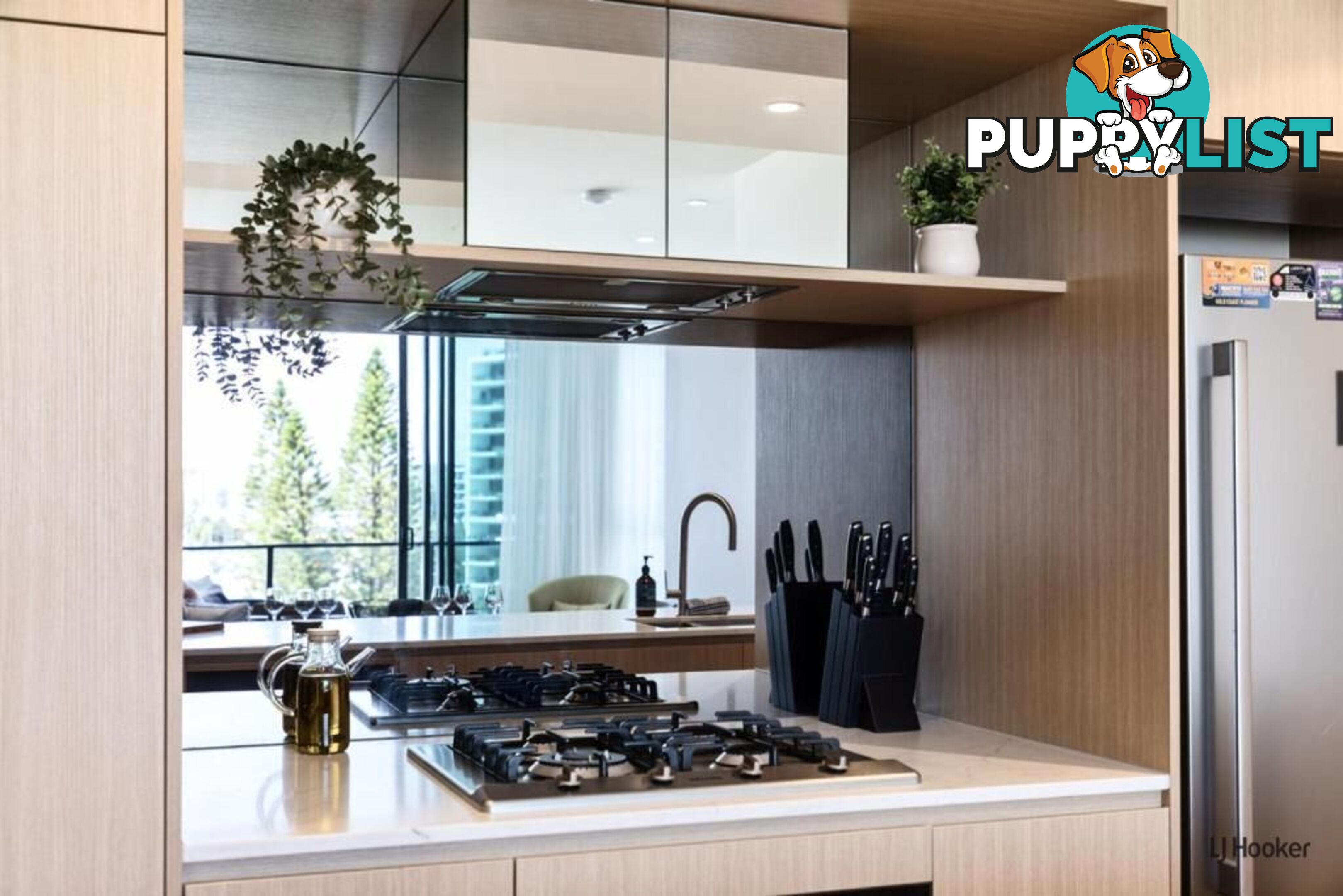 502/4 Seventeenth Avenue PALM BEACH QLD 4221