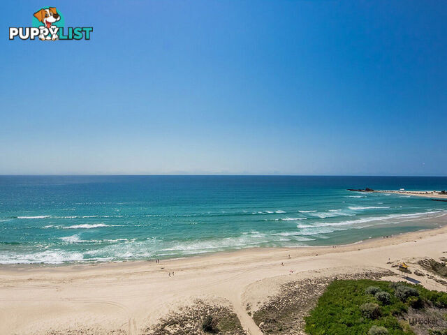 7D/969 Gold Coast Highway PALM BEACH QLD 4221