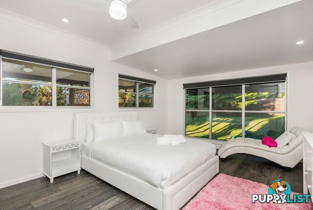 731 Tomewin Mountain Road CURRUMBIN VALLEY QLD 4223