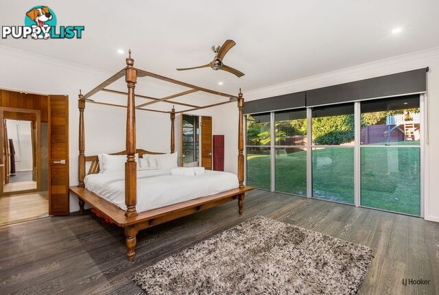 731 Tomewin Mountain Road CURRUMBIN VALLEY QLD 4223