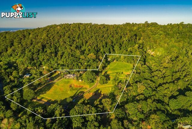 731 Tomewin Mountain Road CURRUMBIN VALLEY QLD 4223