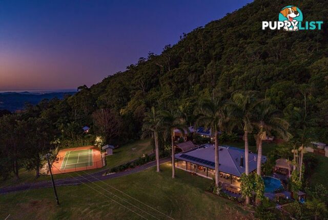 731 Tomewin Mountain Road CURRUMBIN VALLEY QLD 4223