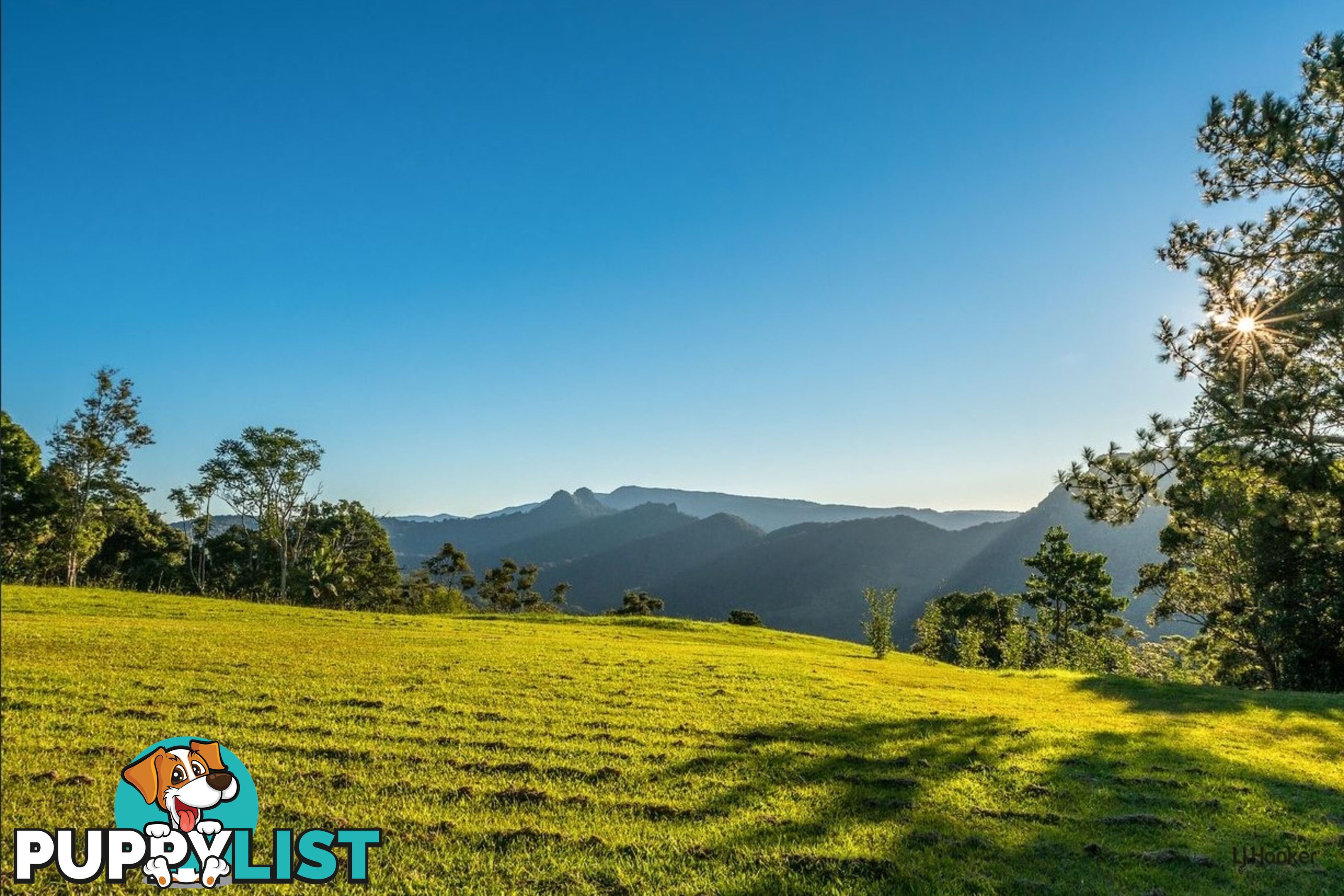 731 Tomewin Mountain Road CURRUMBIN VALLEY QLD 4223