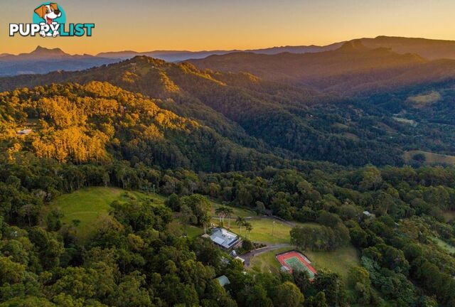 731 Tomewin Mountain Road CURRUMBIN VALLEY QLD 4223