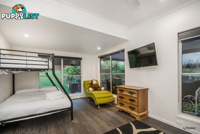 731 Tomewin Mountain Road CURRUMBIN VALLEY QLD 4223