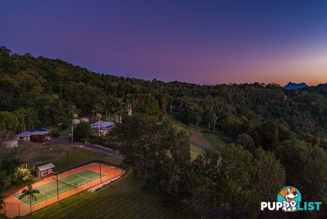 731 Tomewin Mountain Road CURRUMBIN VALLEY QLD 4223