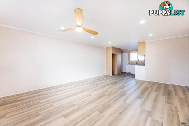 5/16 Coyne Street COOLANGATTA QLD 4225