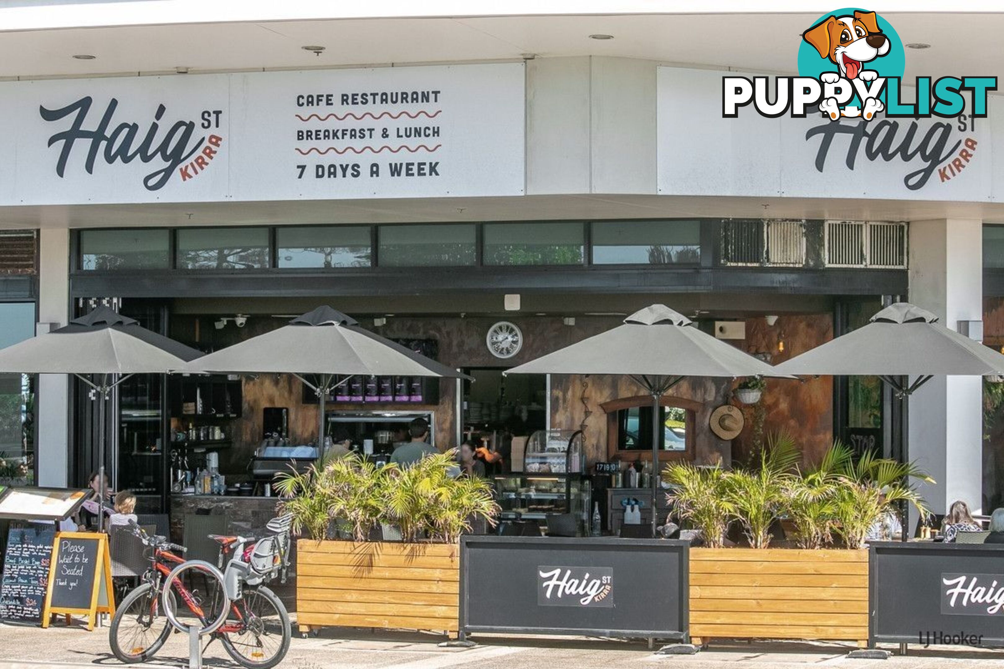 5/16 Coyne Street COOLANGATTA QLD 4225