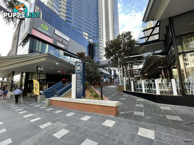 3184 Surfers Paradise Boulevard SURFERS PARADISE QLD 4217