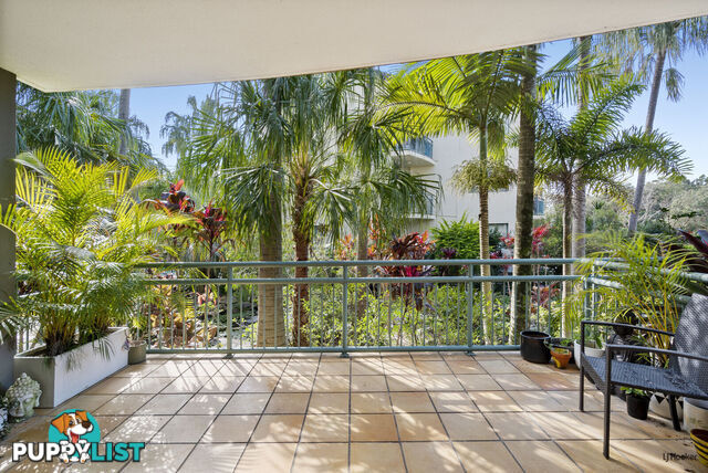 84/955 Gold Coast Highway PALM BEACH QLD 4221