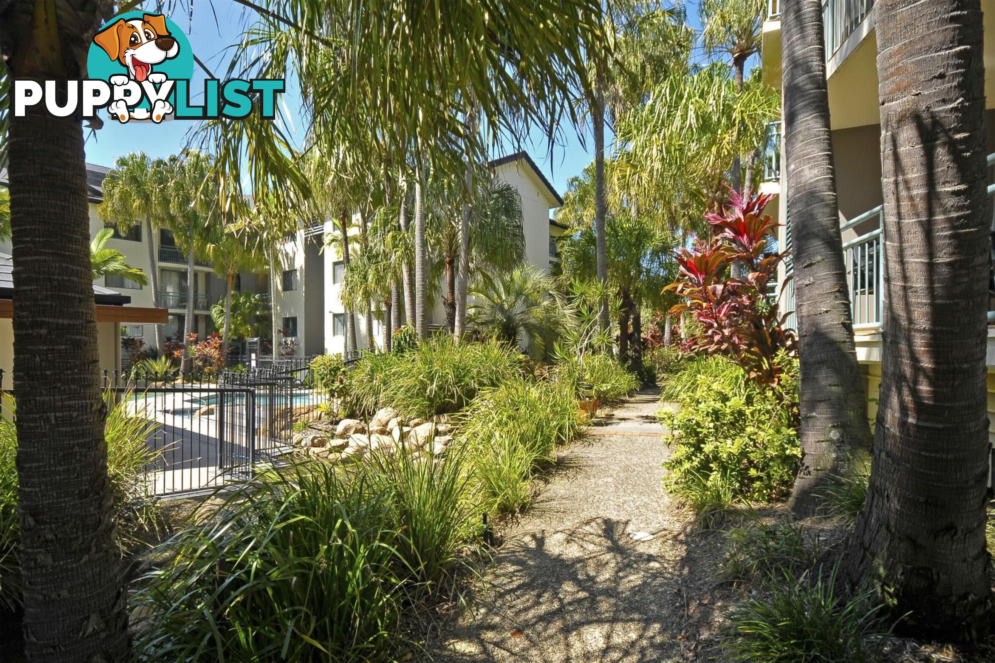84/955 Gold Coast Highway PALM BEACH QLD 4221