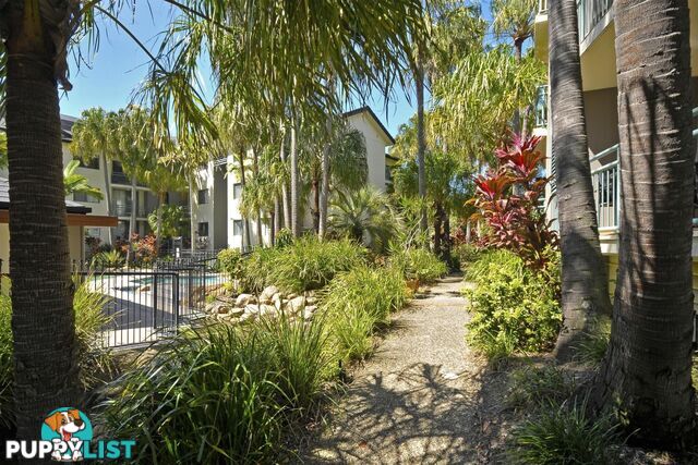 84/955 Gold Coast Highway PALM BEACH QLD 4221