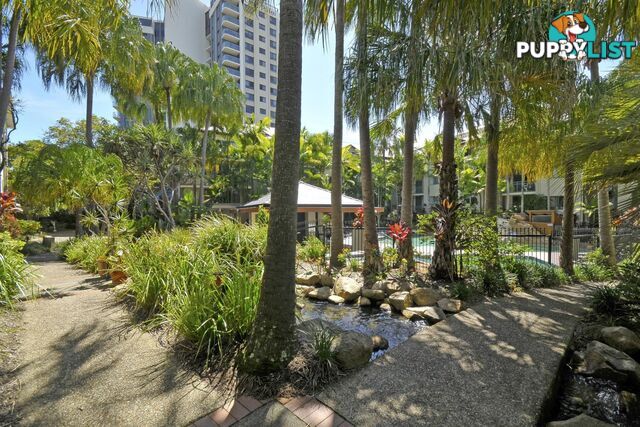 84/955 Gold Coast Highway PALM BEACH QLD 4221