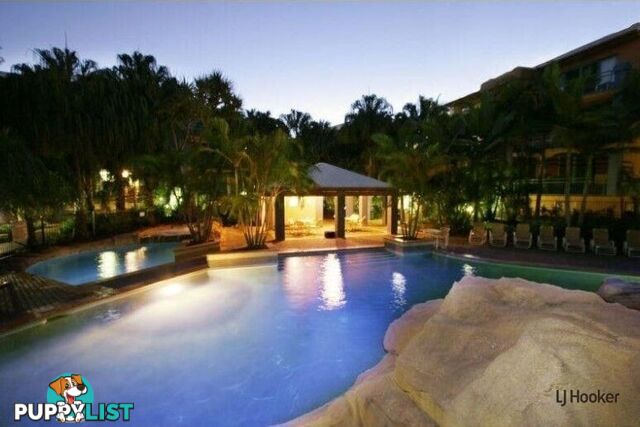 84/955 Gold Coast Highway PALM BEACH QLD 4221